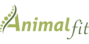 Behandlung & Physiotherapie für Vierbeiner