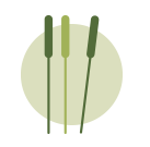 Akupunktur für Haustiere