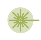 Lasertherapie für Haustiere