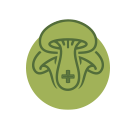 Mykotherapie für Haustiere