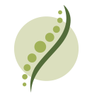 Physiotherapie für Haustiere